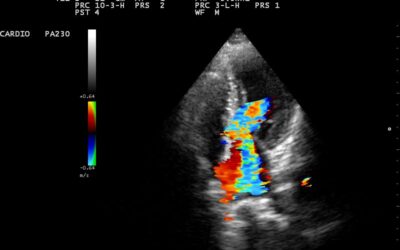 20150720134600_1400510 20150720134600_1400510