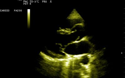 20151030162042_1903210 20151030162042_1903210